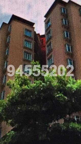 Robertson 100 (D9), Apartment #159766432